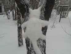 Фото Оксаны Довгалюк