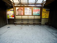 В тех местах, где грязь не образовалась по естесственным причинам — от невывезенного снега, хватает мусора, который оставляют люди