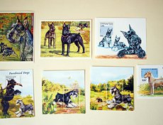 Еще одна часть коллекции — марки со шнауцерами.