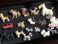 Особая любовь Елены — это шнауцеро-брошки.