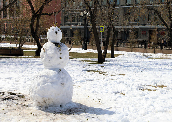 Фото Игоря Дремина