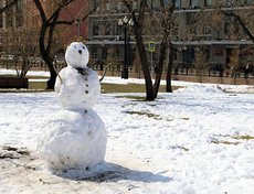 Фото Игоря Дремина