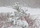 Снегопад в Иркутске. Фото Владимира Смирнова
