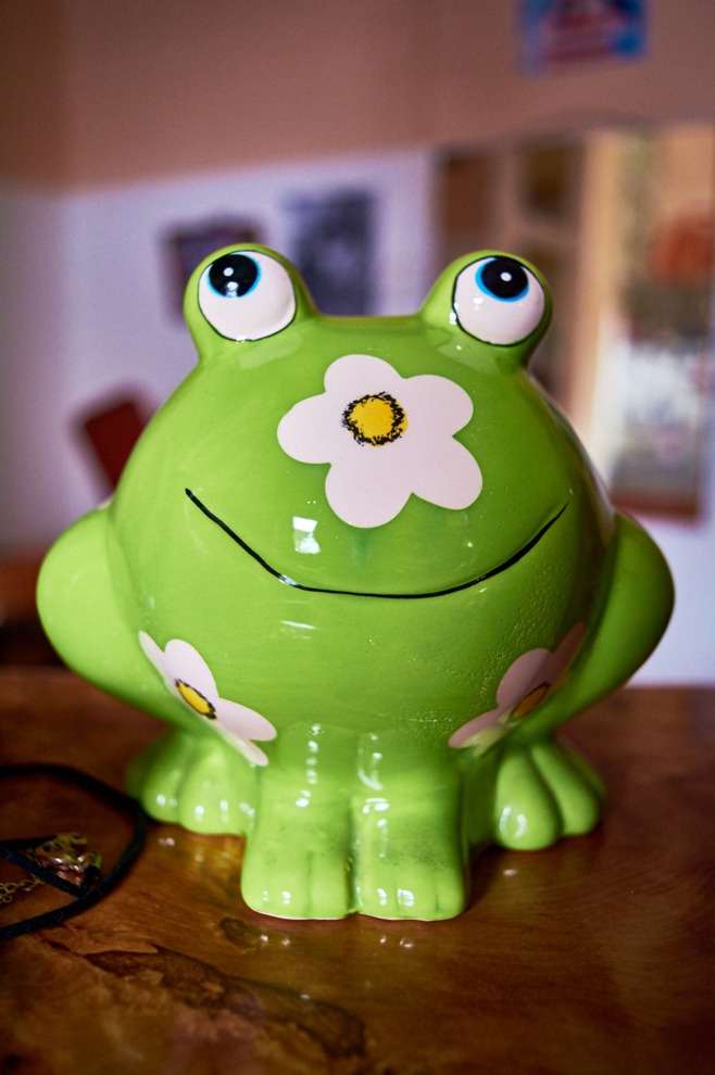 Копилка. В нее Елена собирает коллекционные монеты.