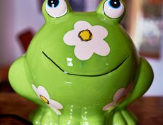 Копилка. В нее Елена собирает коллекционные монеты.