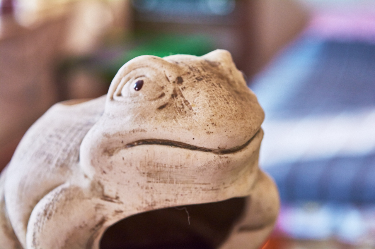 Эту лягушку Елене привезла ее подруга-путешественница из Перу.