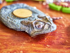 Кошелек из кожи настоящей лягушки. Сшит на Бали.