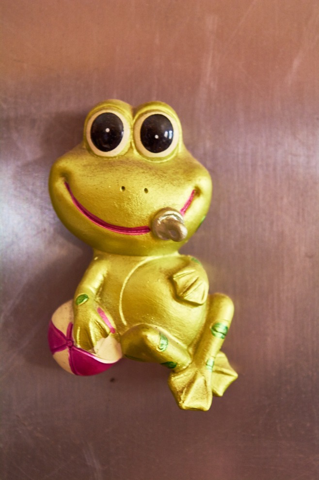 На холодильнике Елены также «живут» лягушки-магнитики.