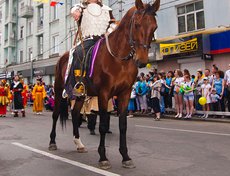 Карнавал «Шагаем вместе». Фото Владимира Смирнова, IRK.ru