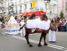Карнавал в Иркутске. Автор фото - Валерий Зонов