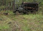 Автомобиль с незаконно вырубленным лесом. Фото АС Байкал ТВ.