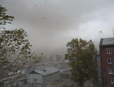 Фото прислано посетителем сайта.