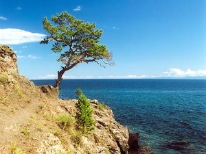 Залив Бегул, о. Байкал. Фото Магия Байкала.