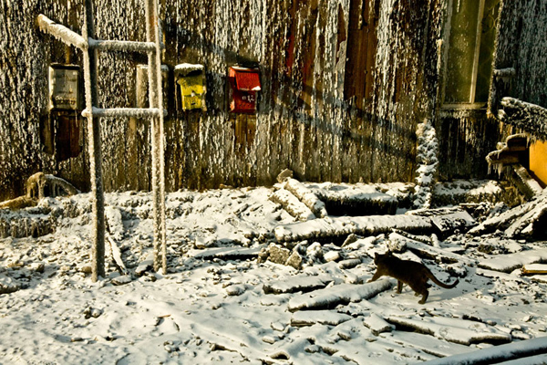 Номинация «Неформат». 1-е место. «Красное и желтое». Автор — Анастасия Бамгшева.