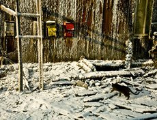 Номинация «Неформат». 1-е место. «Красное и желтое». Автор — Анастасия Бамгшева.