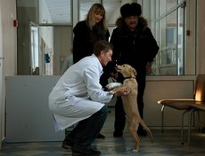 Номинация «Я иду по февралю». 2-е место. «Рыжик и Айболит.Встреча». Автор — Оля Куклина.