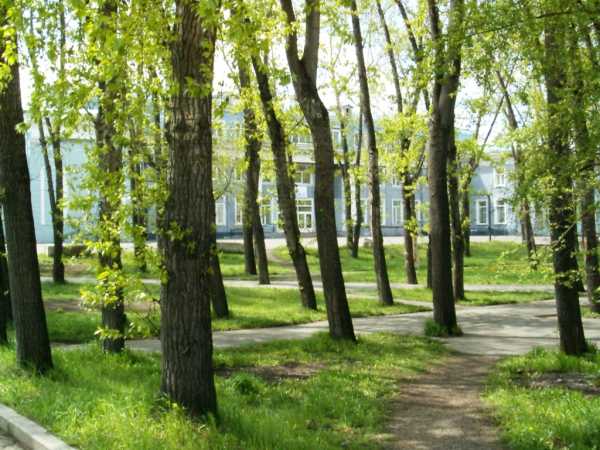 Сквер у аэровокзала, 1994 год. Фото Ильи Ожегова.