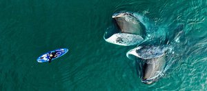 Шантарские острова: дом китов и самое загадочное место России