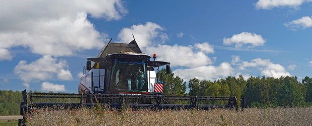 Сибирь — земля возможностей для аграрного бизнеса