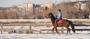 Иркутский ипподром: место с вековой историей и большими мечтами