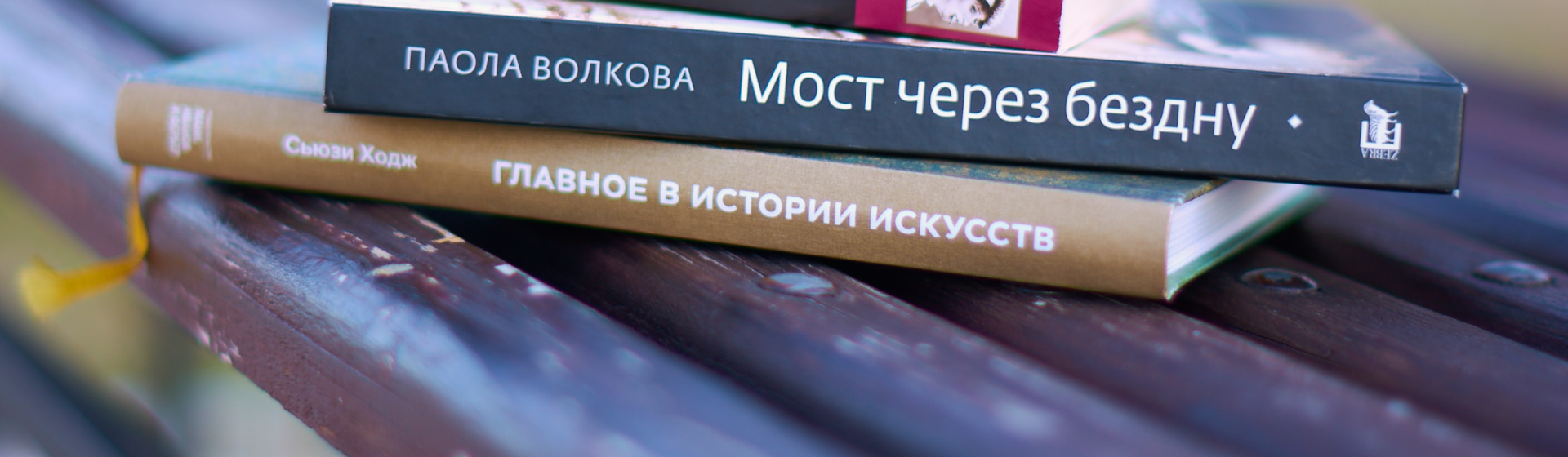 Водолазкин, Руни и Штильмарк… Обзор книг от редакции IRK.ru
