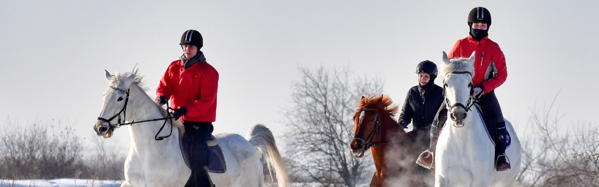 Нескучный корпоратив: музыка, лошади, кулинария и квизы
