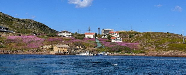 Необычные маршруты для отпуска: Соловки, Челябинск, Мурманск