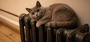 События недели: замерзающие ангарчане, канализационные стоки на улицах Иркутска и отрубленный палец