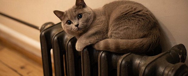 События недели: замерзающие ангарчане, канализационные стоки на улицах Иркутска и отрубленный палец