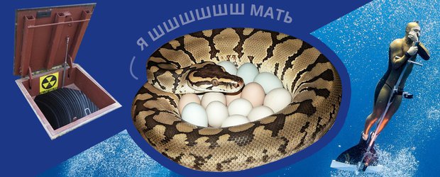 События недели: беременная змея, фейки про отправку в Иран и бункер на случай апокалипсиса