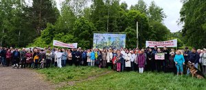 «Роща — наше достояние. Ее нужно сохранить». Жители Академгородка против вырубки и стройки в парке