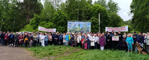 «Роща — наше достояние. Ее нужно сохранить». Жители Академгородка против вырубки и стройки в парке