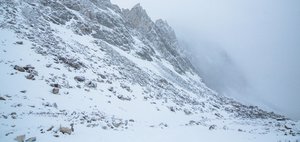 Вторая трагедия на горе Мунку-Сардык за неделю: гибель иркутских туристов под лавиной