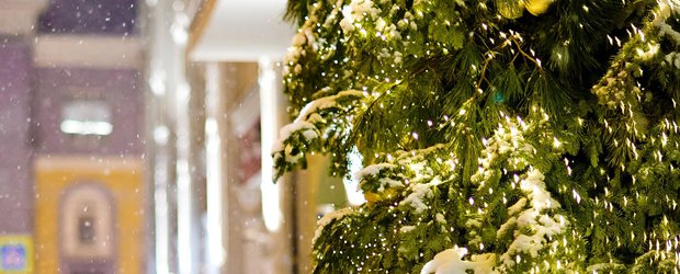 Запах хвои, вера в чудо и «Ёлка желаний»: как депутаты Заксобрания встречают Новый год