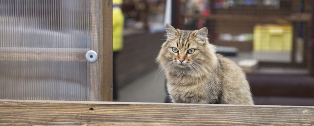 Ностальгия по 2016-му: новый тренд соцсетей добрался до Иркутска