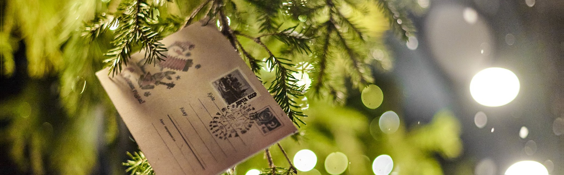 Запах хвои, вера в чудо и «Ёлка желаний»: как депутаты Заксобрания встречают Новый год