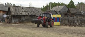 «С такой поддержкой есть желание работать дальше»: как субсидии выручают фермеров в Иркутской области