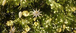 Гороскоп-2026: как встретить Новый год, чтобы привлечь удачу?