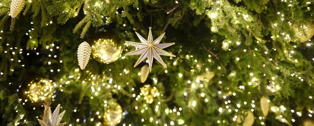 Гороскоп-2026: как встретить Новый год, чтобы привлечь удачу?