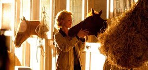 Они такие классные! Подборка хороших фильмов о лошадях