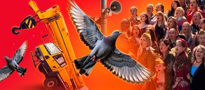 События недели: голуби в квартире, привет от сирен и «Катюша»