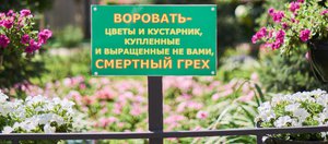 События недели: роды в салоне красоты, пешеходный мост и зеленый криминал