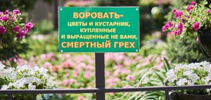 События недели: роды в салоне красоты, пешеходный мост и зеленый криминал