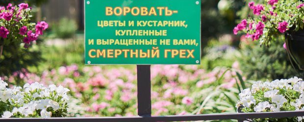 События недели: роды в салоне красоты, пешеходный мост и зеленый криминал