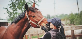 «Феликс любит корчить рожицы». Как лошадь учит людей терпению и доброте