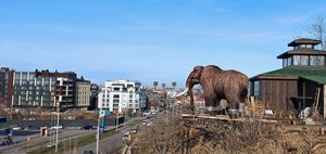 События недели: громкий приговор, огромный мамонт и дефицит бензина