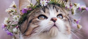 Как провести выходные: афиша событий в Иркутске и на Байкале