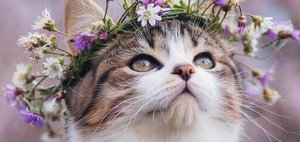 Как провести выходные: афиша событий в Иркутске и на Байкале