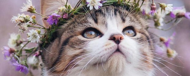 Как провести выходные: афиша событий в Иркутске и на Байкале