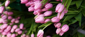 Личного счастья и исполнения желаний: поздравления с 8 Марта для женщин Иркутской области